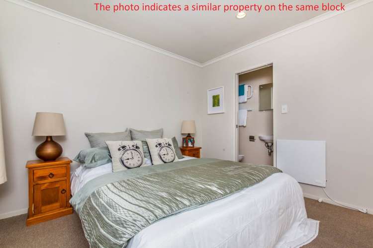 79d Ash Street Avondale_7