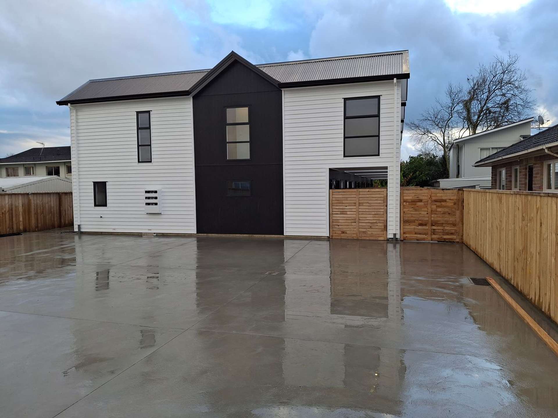 149 Nixon Street Hamilton East_0