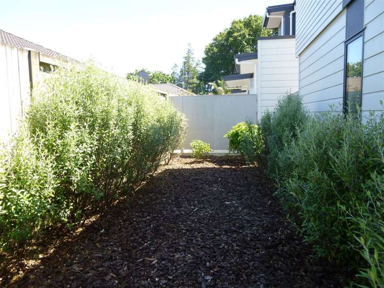 5/195 Massey Street Frankton_5