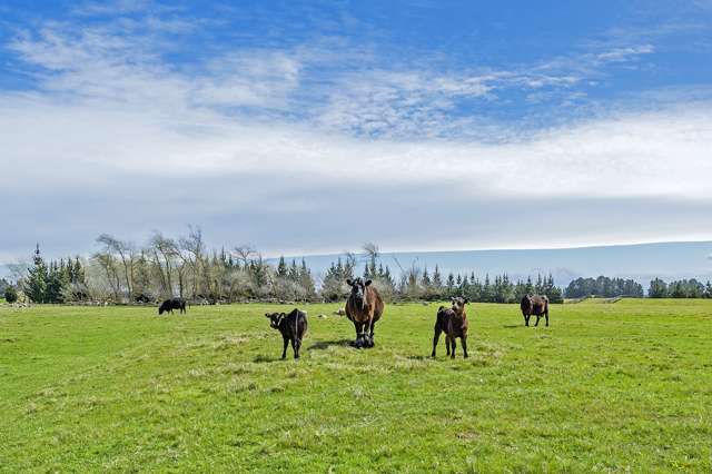 Weedons Ross Road West Melton_2