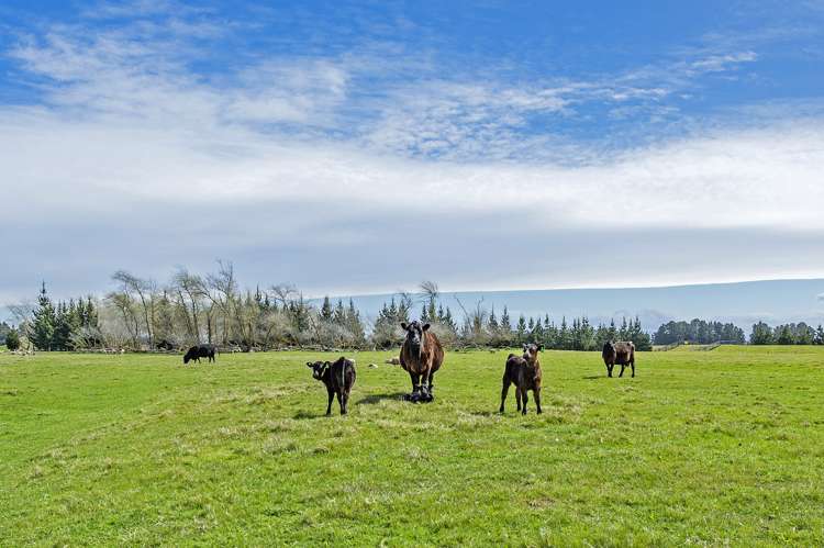 Weedons Ross Road West Melton_2