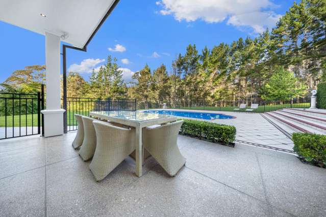 112 Potter Road Dairy Flat_2