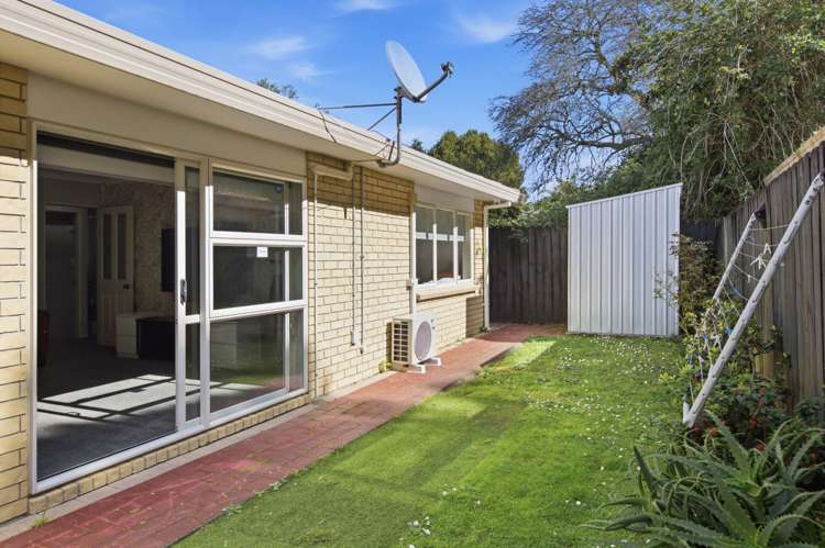 29D Riversdale Road Avondale_8