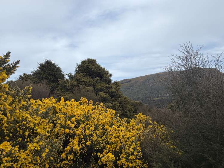 490 Long Bay Road Akaroa_25