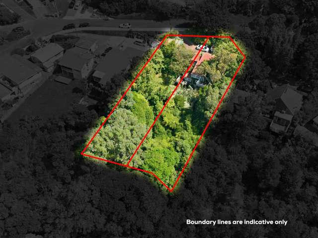 60 & 62 Gilletta Road Mt Roskill_1