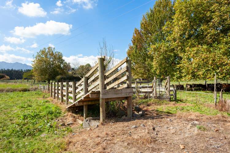 137 Seddon Road Waitoa MatamataPiako Rural Property For Sale