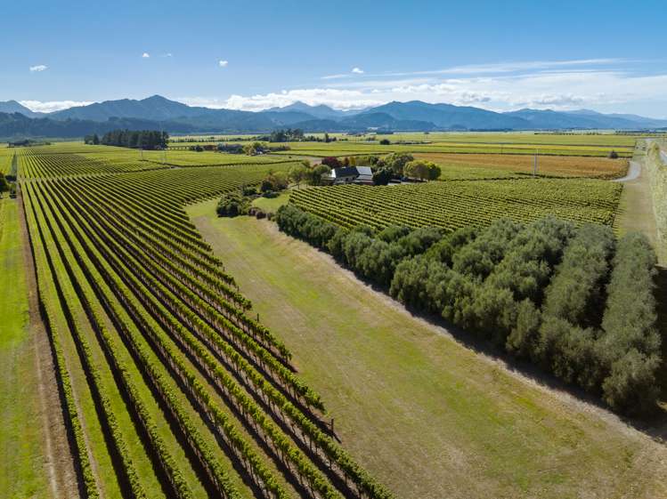 3 Fareham Lane Renwick_21