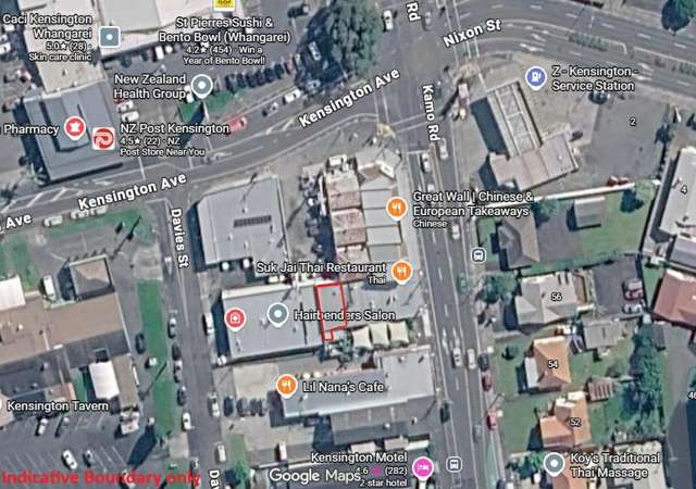 93 Kamo Road Kensington_2