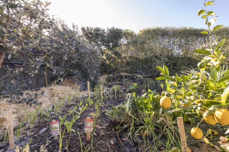 17 Walnut Grove Kelvin Grove_18