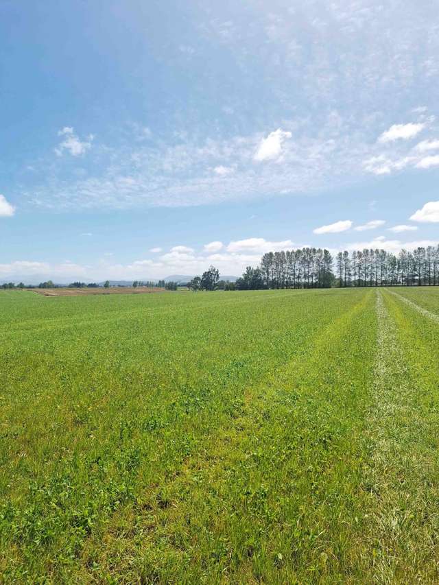 9 Norris Road Otautau_2