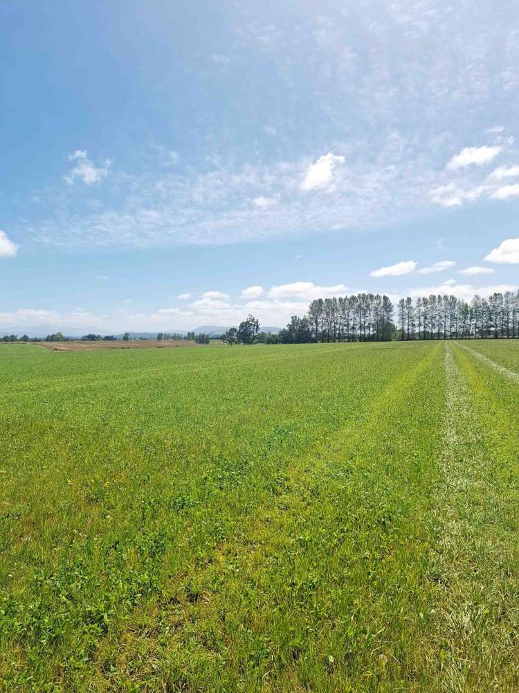 9 Norris Road Otautau_2