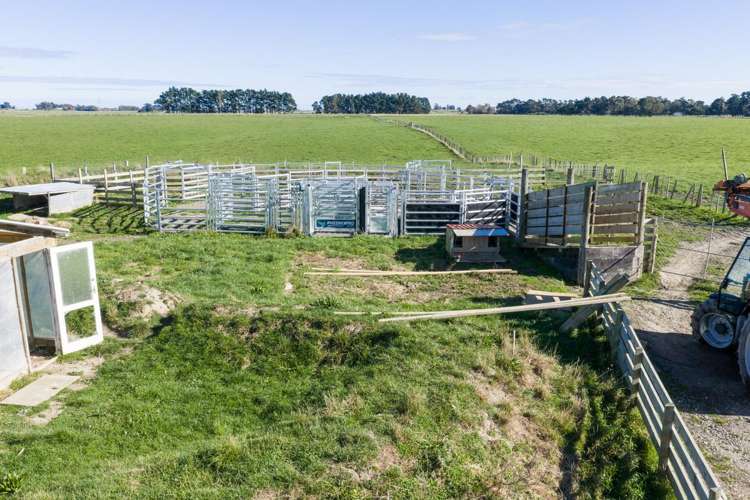 1412D Wellington Road Marton_5