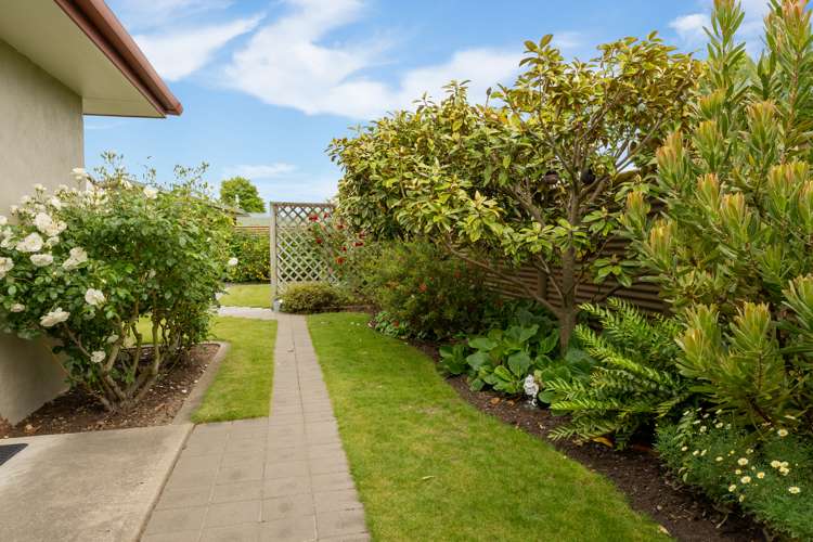 14a Burden Street Redwoodtown_20