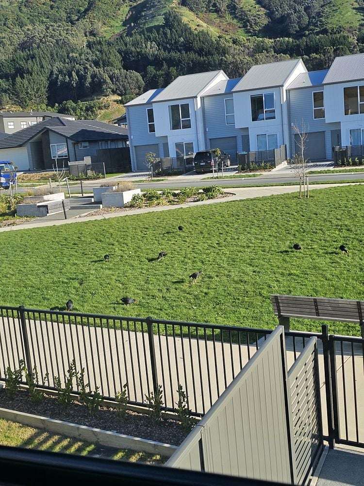 6 Tokitoki Way Porirua_10
