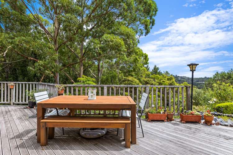 190d Lonely Track Road Dairy Flat_9