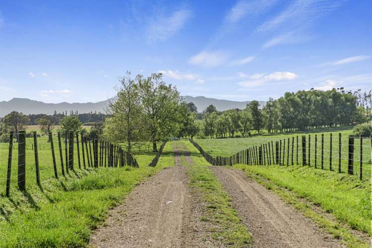 221 Taukoro Road Morrinsville_8