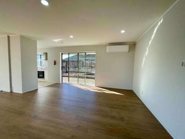 49 Michael Jones Drive Flat Bush_3