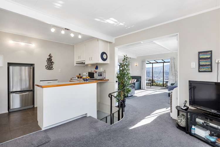 217 Larnach Road Waverley_6