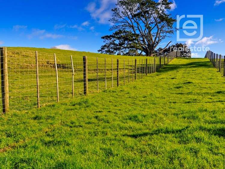 95 Twin Springs Drive Helensville_8