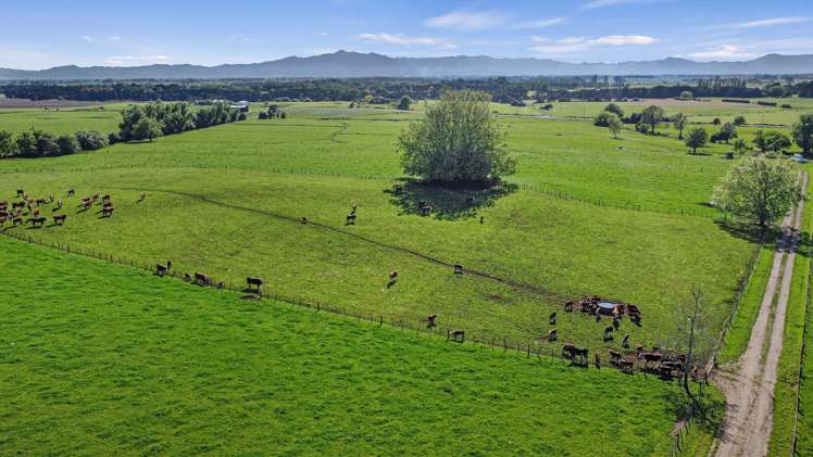 221 Taukoro Road Morrinsville_22