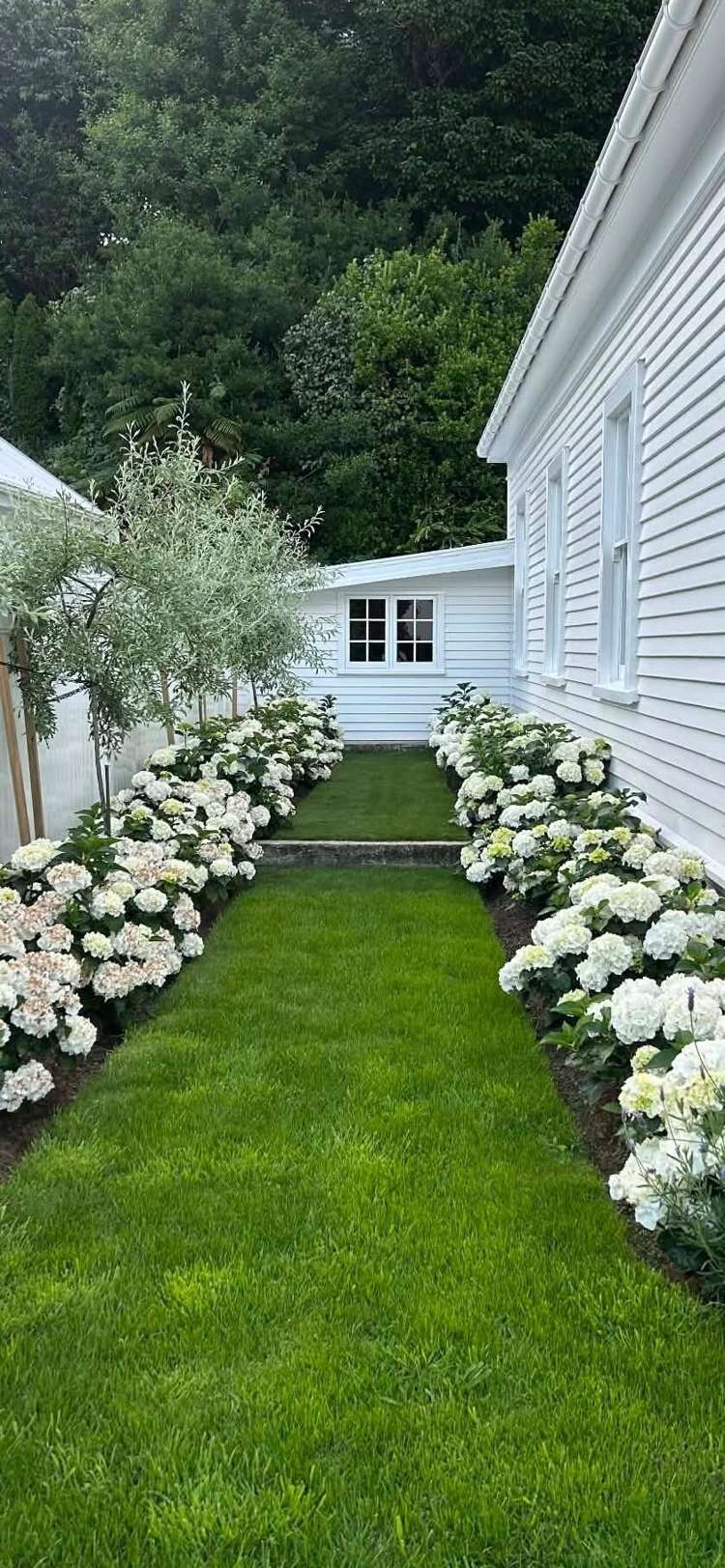 16 Bracken Street New Plymouth_28