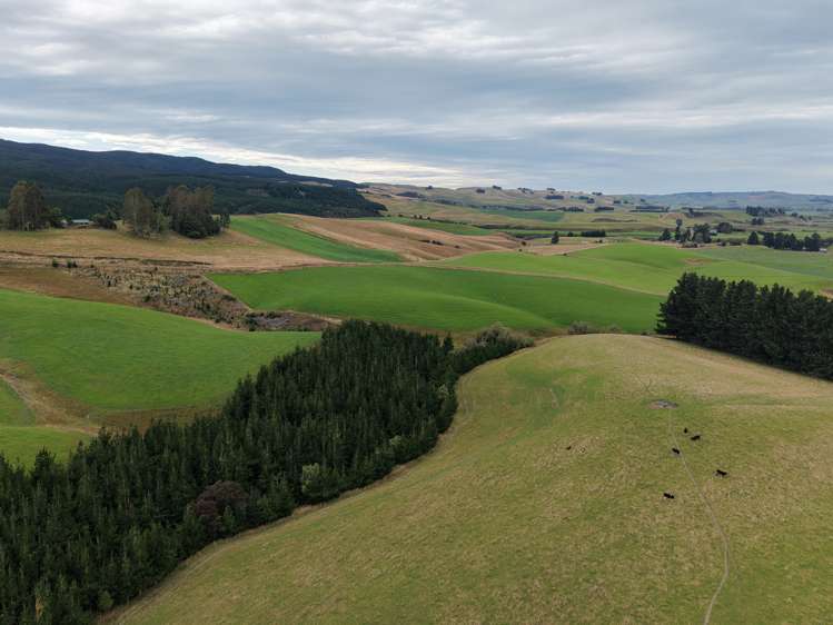 158 Kowhatu Road Waimate_13