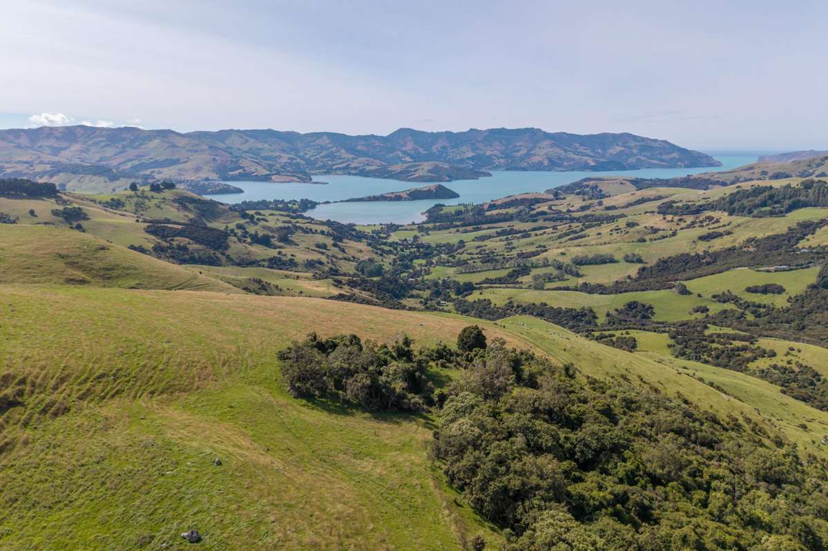 175 Barrys Bay Valley Road_0