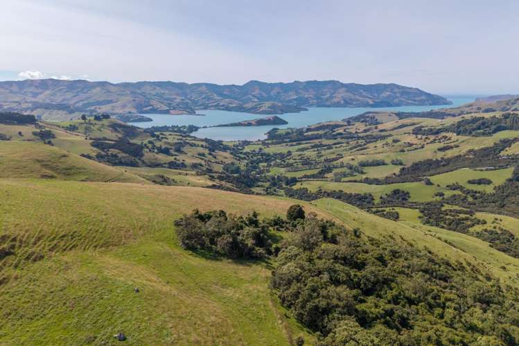 175 Barrys Bay Valley Road Barrys Bay_0