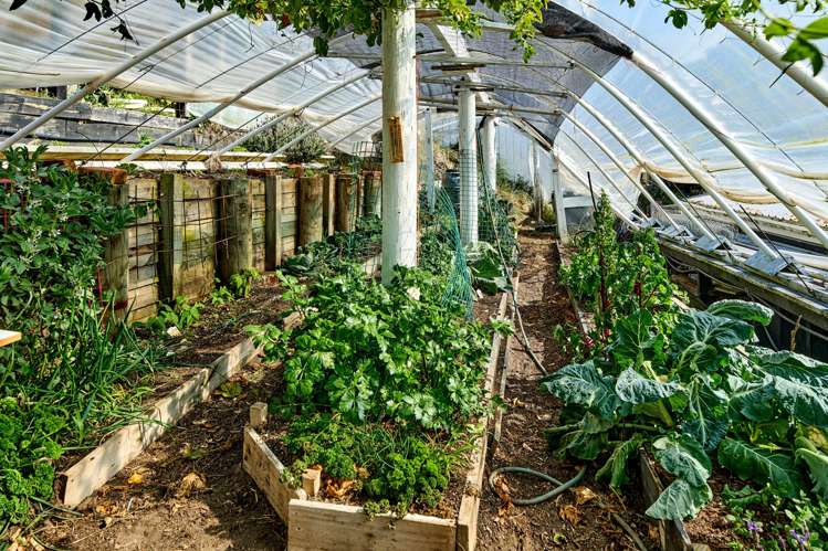 44a Moana Street Otaki Beach_29