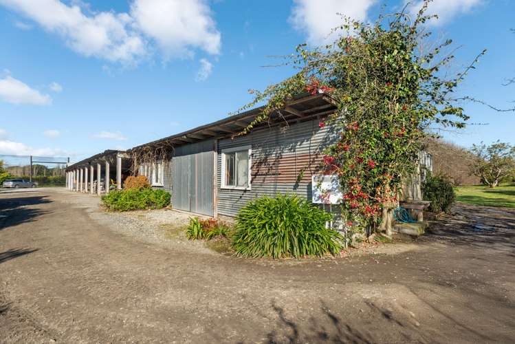 64 Cemetery Road Patutahi_19