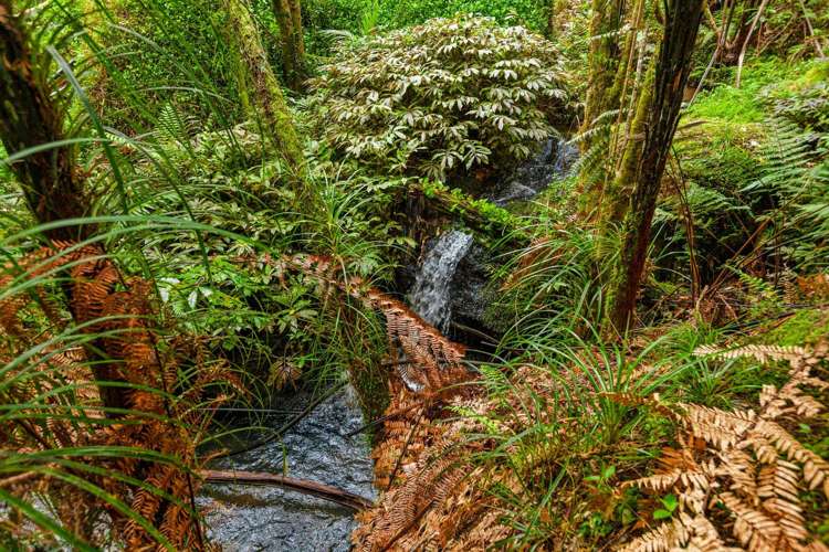 3744 State Highway 10 Kaeo_7