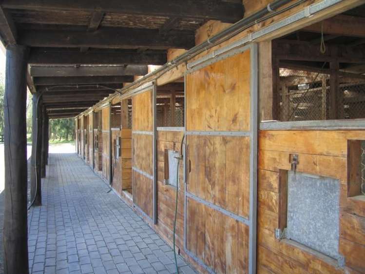 1433 State Highway 3 Turakina_17