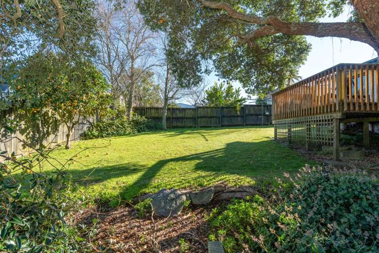 149A Ellicott Road Nawton_16