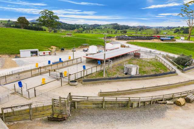 901 Pukehuia Road Tangiteroria_4