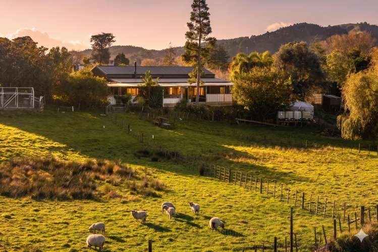 979 Kaipara Flats Road Kaipara Flats_1