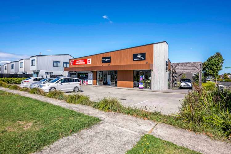 2A Swamp Kauri Grove Papakura_9