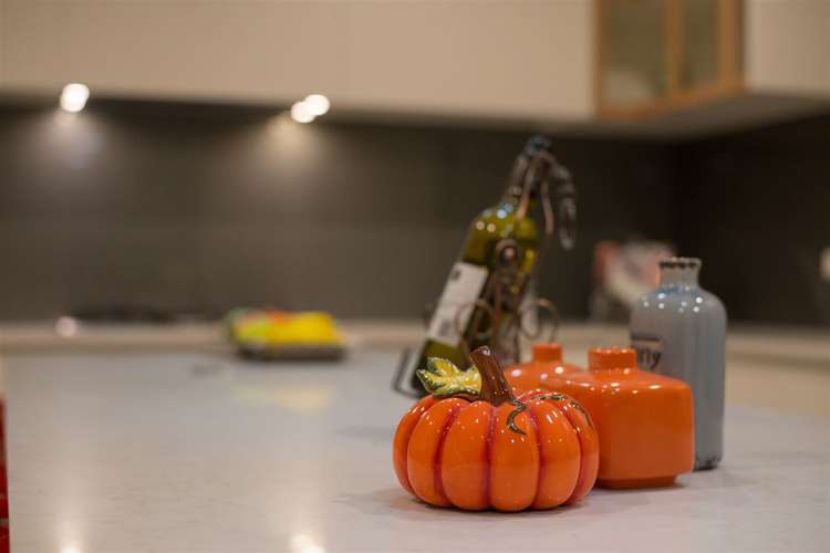 86 Thomas Road Flat Bush_7