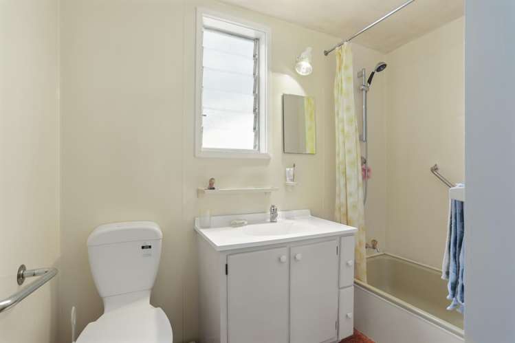 41 Roberton Road Avondale_19