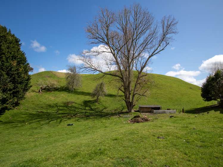 347 Dunkirk Road Atiamuri_21