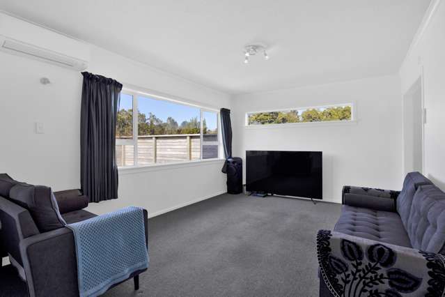 3 Elizabeth Place Ferndale_2