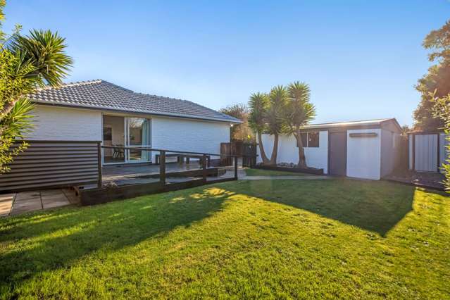 61 Pegasus Avenue North New Brighton_2