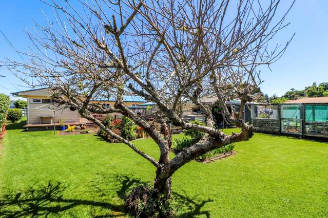 124 Parawai Road Thames_2