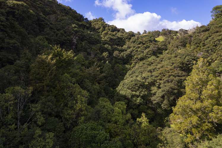 73 Takahue Saddle Road Kaitaia Surrounds_12