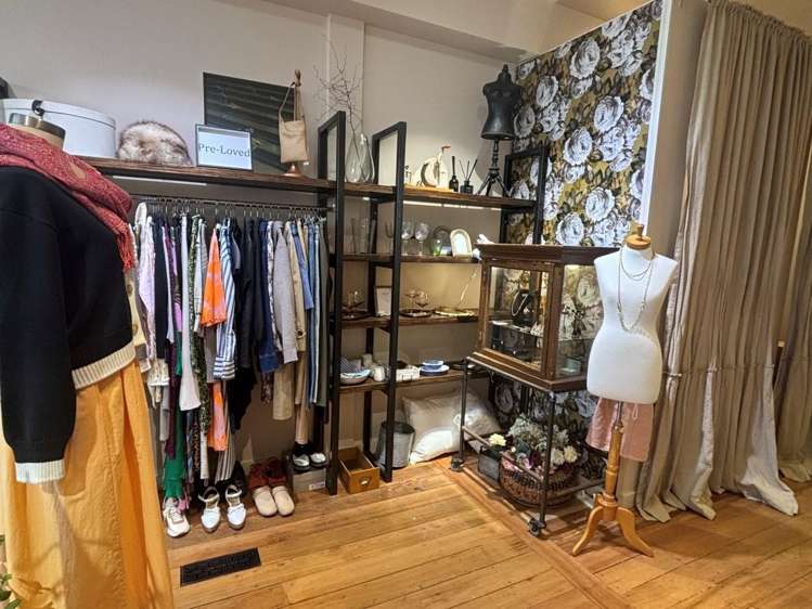 131 Jackson Street Petone_7