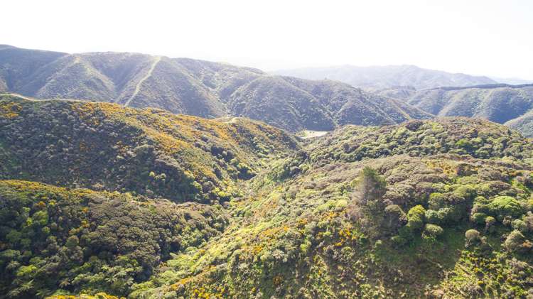 328 Hawkins Hill Road Brooklyn_6