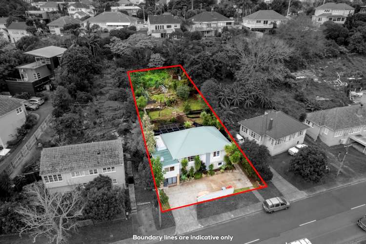 103 Mccullough Avenue Mount Roskill_14