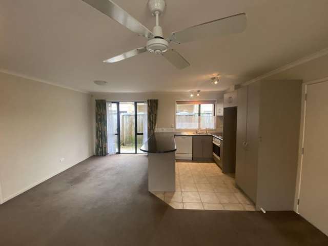 21A Paterson Street 1067_2