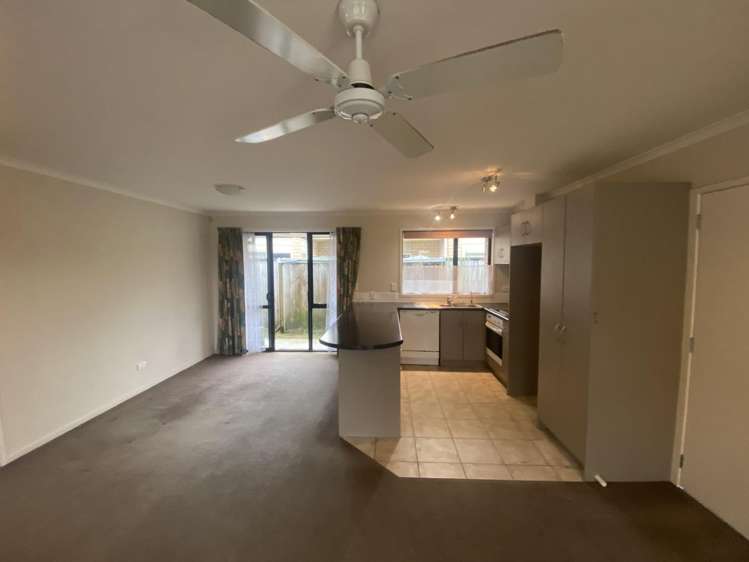 21A Paterson Street 1067_2