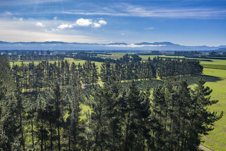 1197 Wolffs Road West Eyreton_7