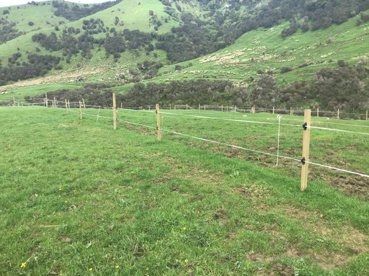 Pahiatua Pongaroa Road Pongaroa_8